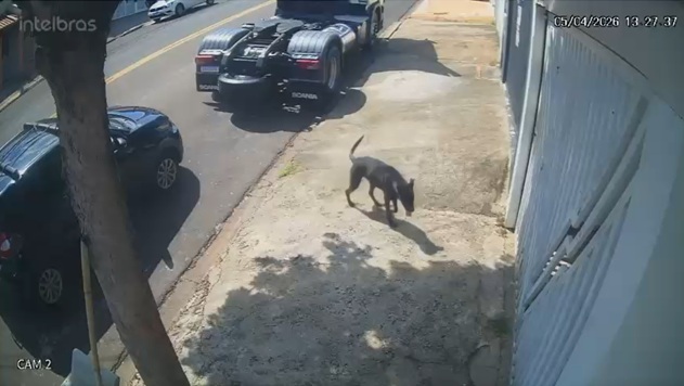 homem-cachorro-sumare