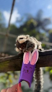 parque-ecologico-pascoa-1