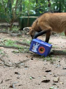 parque-ecologico-pascoa-1 (2)