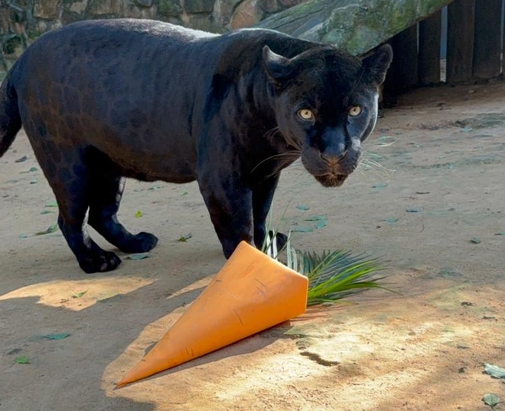 parque-ecologico-pascoa