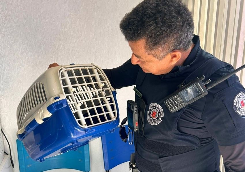 Guarda de Americana solta 11 animais silvestres após resgate e reabilitação