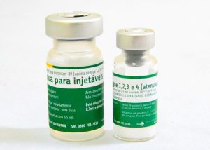 UBSs de Santa Bárbara seguem com vacinação contra dengue