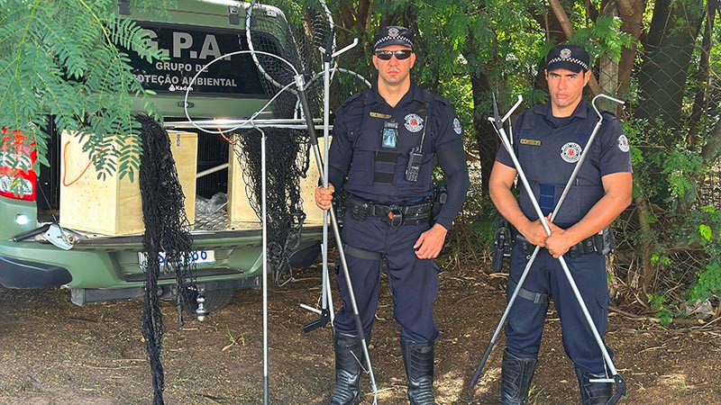 GPA completa 21 anos protegendo fauna e meio ambiente em Americana