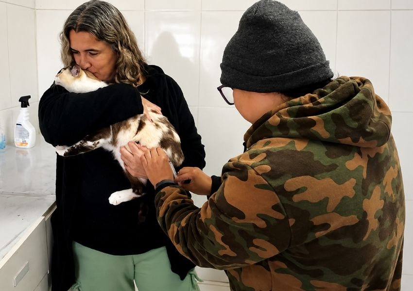 Sumaré aplica 254 doses da vacina antirrábica no primeiro semestre