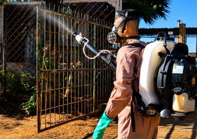 Sumaré está em alerta para dengue após registrar alto índice de criadouros