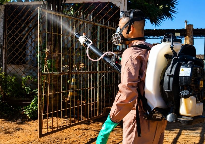 Sumaré está em alerta para dengue após registrar alto índice de criadouros