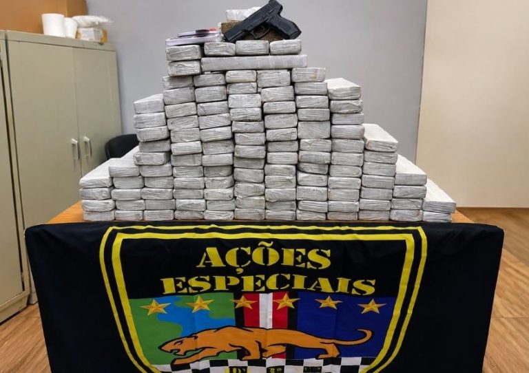 Baep apreende 75 kg de maconha e recupera picape furtada em Nova Odessa
