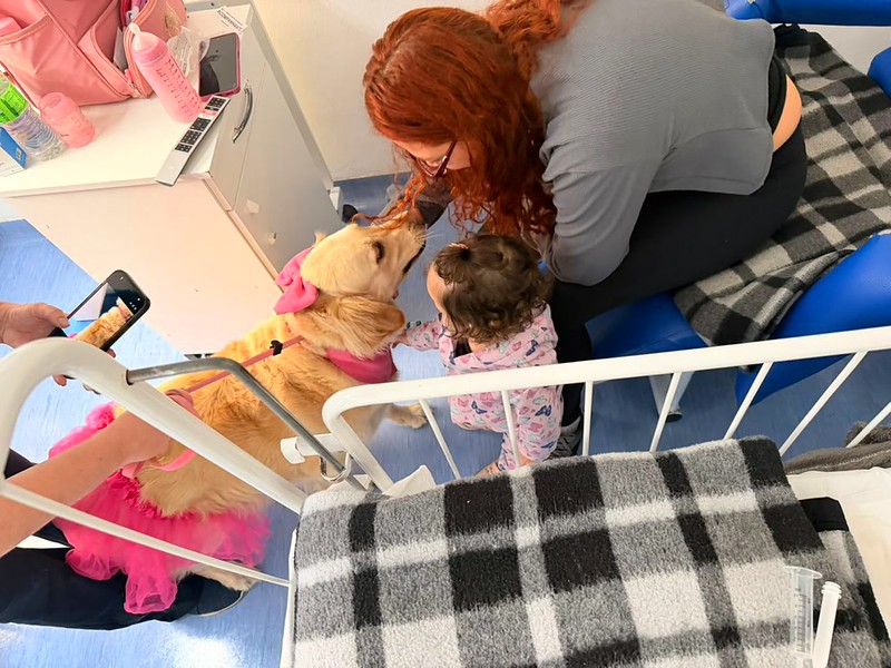 Cães terapeutas levam acolhimento a pacientes do HM e Unacon