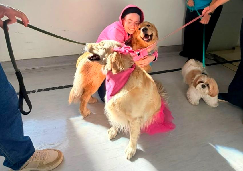 Cães terapeutas levam acolhimento a pacientes do HM e Unacon