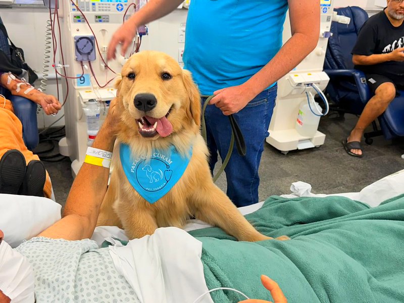 Cães terapeutas levam acolhimento a pacientes do HM e Unacon