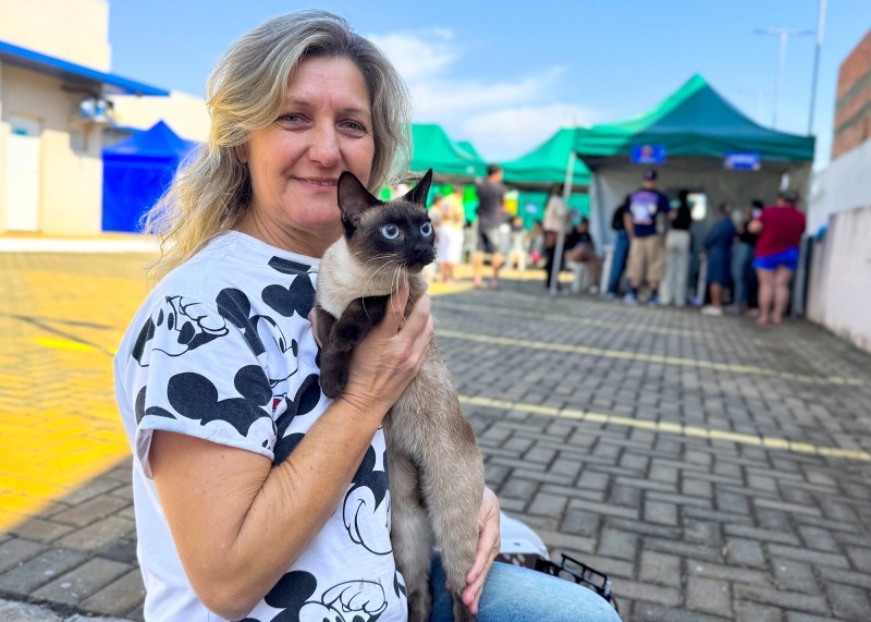 Mutirão castra 613 cães e gatos em Santa Bárbara d'Oeste