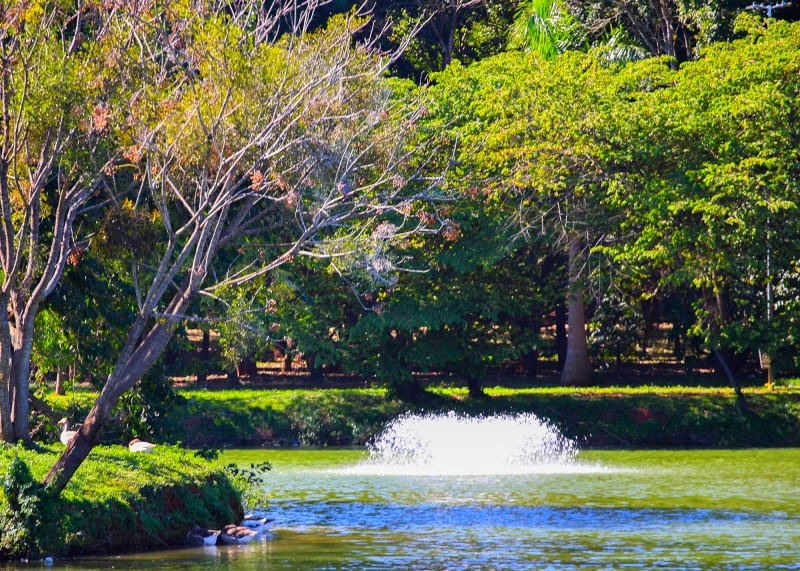 Parque dos Ipês recebe aeradores para preservar lagoa em Santa Bárbara