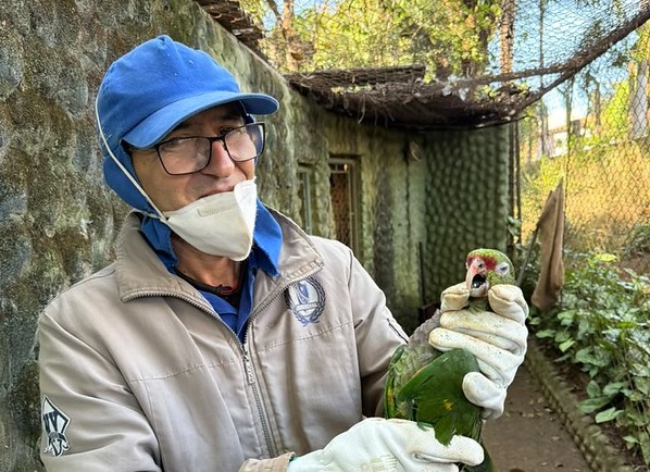 parque-ecologico-papagaios