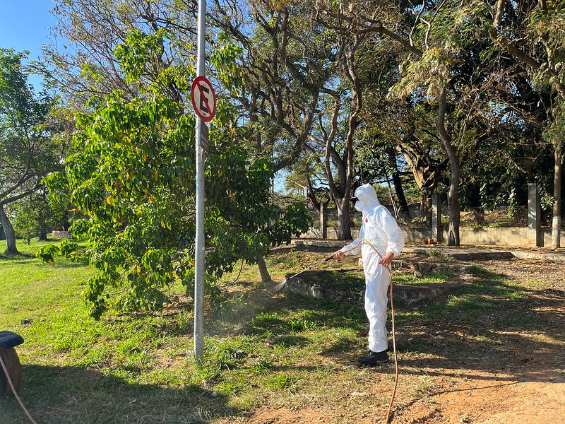 Americana aplica agente biológico contra carrapato-estrela na Praia Azul