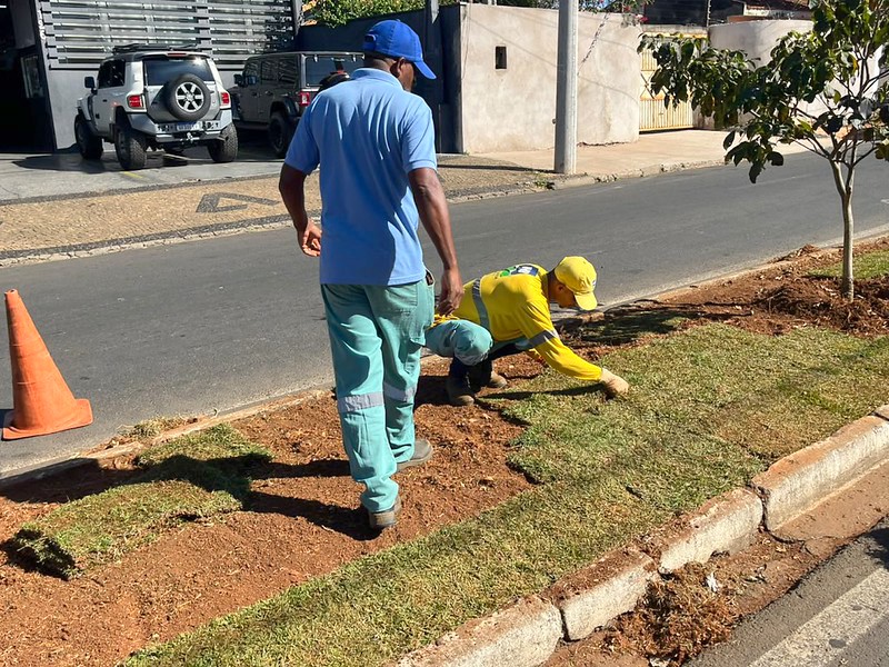 Americana conclui primeira etapa do plantio de ipês na Armando Sales
