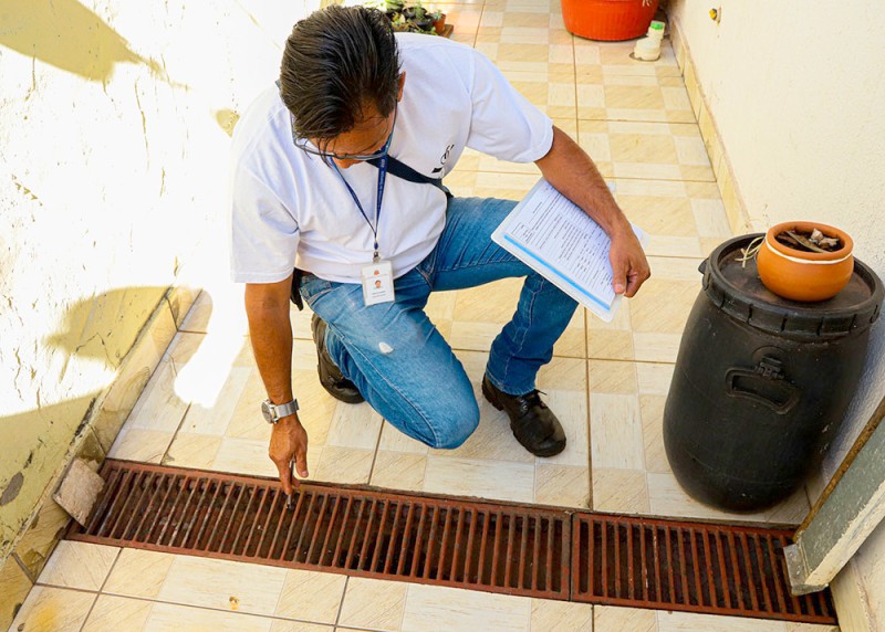 Santa Bárbara intensifica prevenção contra escorpiões nesta semana