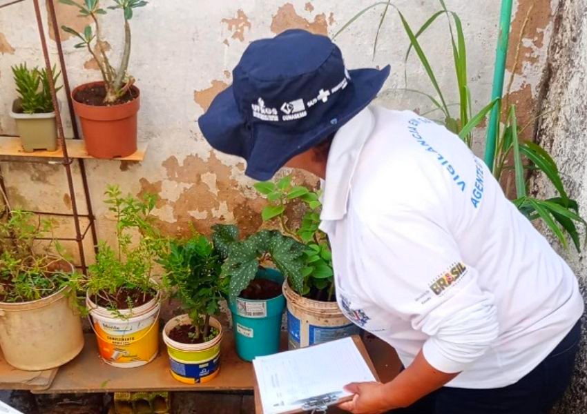 Sumaré mantém alerta para dengue após índice de Breteau