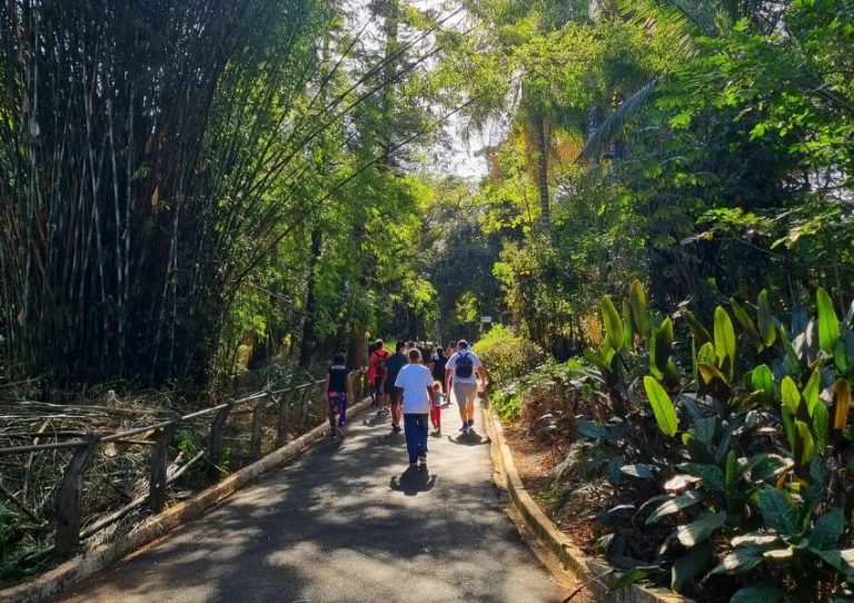Zoo Americana recebe mais de 30 mil visitantes e bate recorde em julho