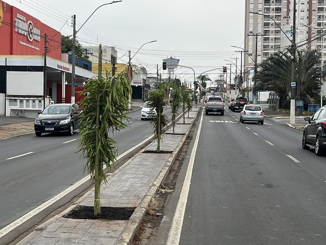avenida-cillos