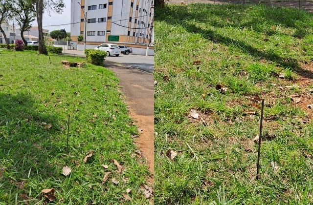 candidato-ferro-ipiranga