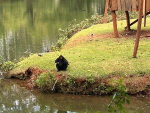 dia dos pais parque ecologico 2