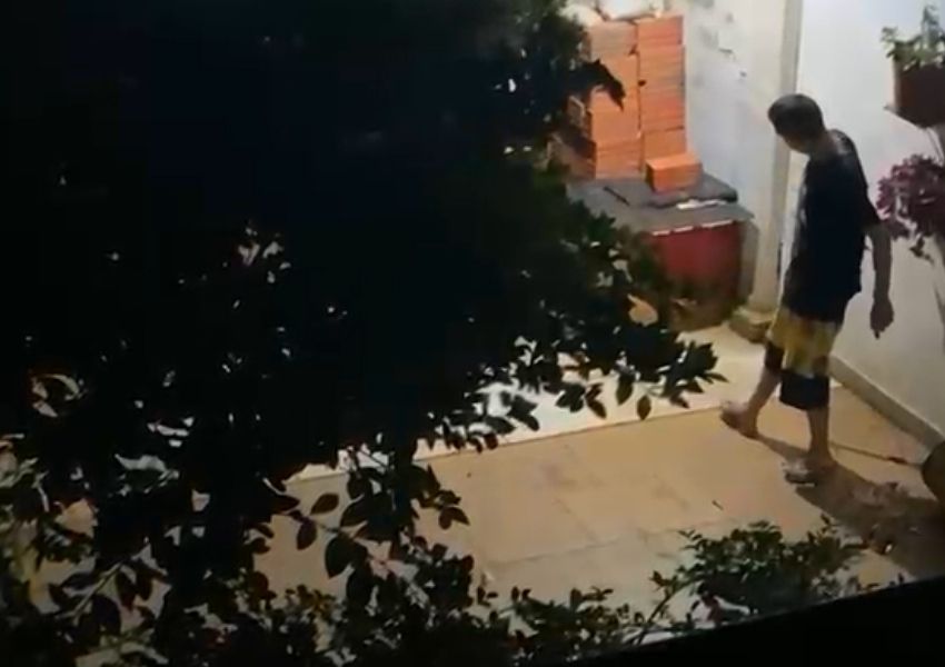 Cachorro é resgatado após denúncia de maus-tratos em Santa Bárbara