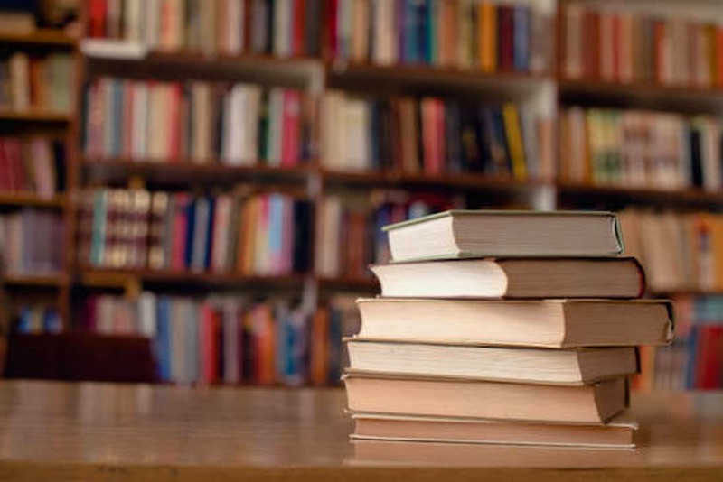 Biblioteca de Americana arrecada livros e brinquedos para ludoteca
