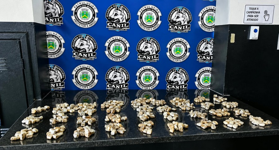 Canil da GCM apreende 376 porções de maconha nos fundos de condomínio