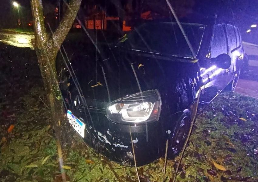 Carro bate em árvore e grade no Parque dos Jacarandás em Santa Bárbara