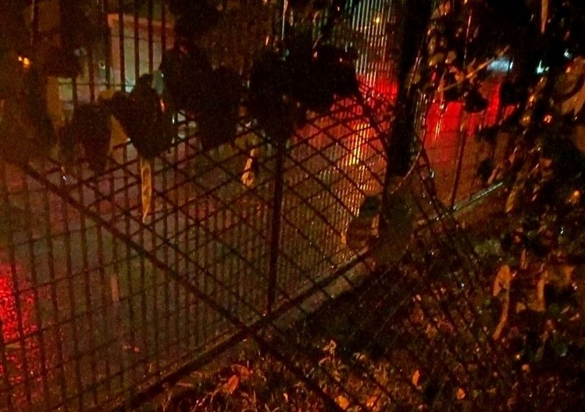 Carro bate em árvore e grade no Parque dos Jacarandás em Santa Bárbara 1 Carro bate em árvore e grade no Parque dos Jacarandás em Santa Bárbara