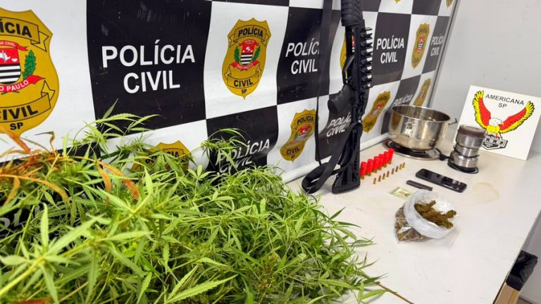 Dise de Americana prende empresário com maconha e armas em Sumaré