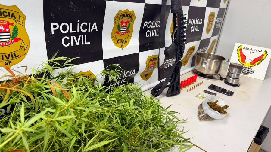 Dise de Americana prende empresário com maconha e armas em Sumaré