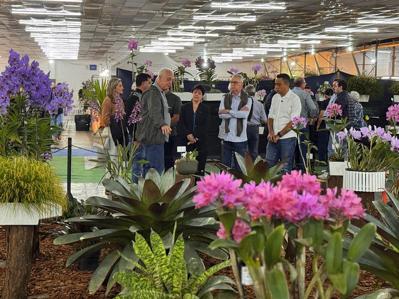 Expo Orquídea reúne plantas, palestras e atrações em Americana a partir de sexta-feira