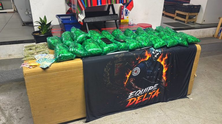 Gama apreende 7 quilos de folhas de coca em Americana
