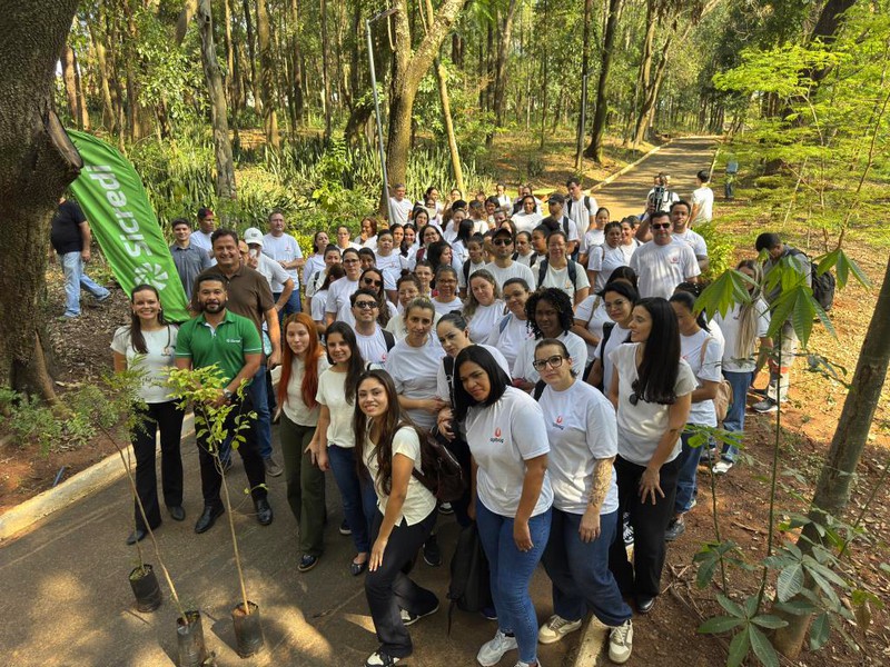 Nova Odessa planta mudas e reforça meta de arborização urbana até 2030