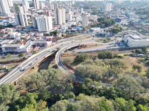 Viaduto Ministro Ralph Biasi_Foto Marília Pierre (3)