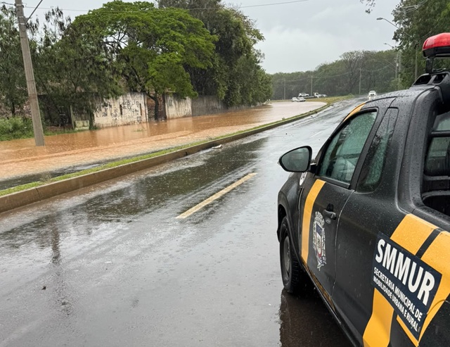 sumare-chuva