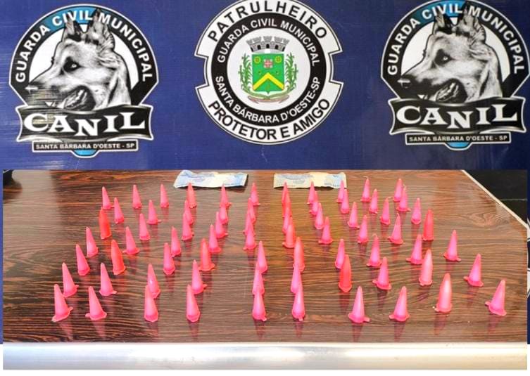 Canil da GCM apreende 71 pinos de cocaína com adolescente em Santa Bárbara