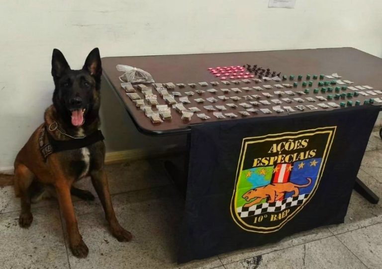 Cão farejador do Baep encontra 157 porções de drogas em galinheiro em Americana