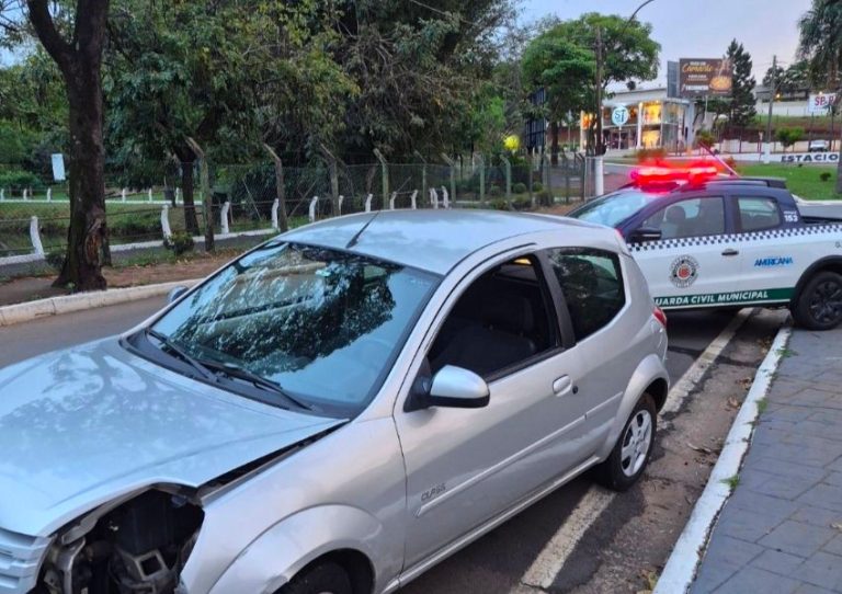 Motorista derruba palmeira e luminária durante acidente em Americana