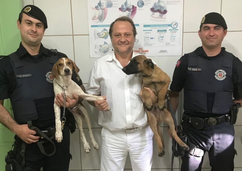 Outubro Rosa Pet terá triagem veterinária e ações de prevenção em Americana