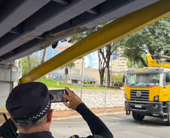 caminhão viaduto americana