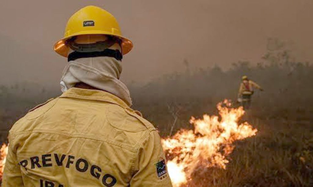 ibama-fogo-amazonas