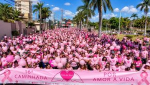 rosa-do-bem-americana