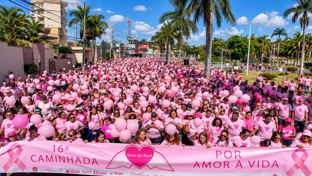 rosa-do-bem-americana